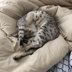 Meet your Posher, Matt